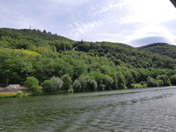 Die idyllische Mosellandschaft